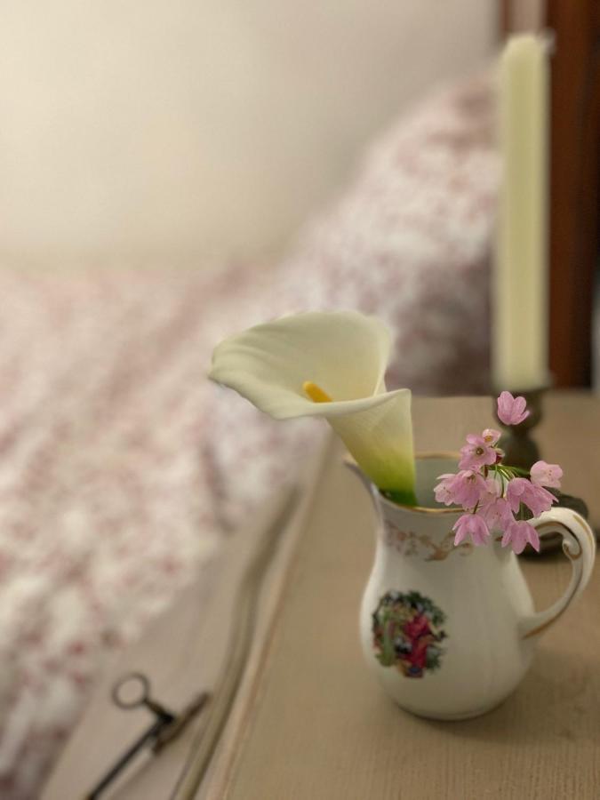 La Cle De La Porte B&B 앙티브 외부 사진