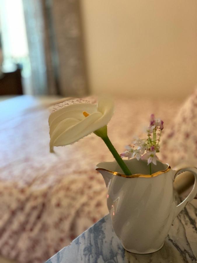 La Cle De La Porte B&B 앙티브 외부 사진